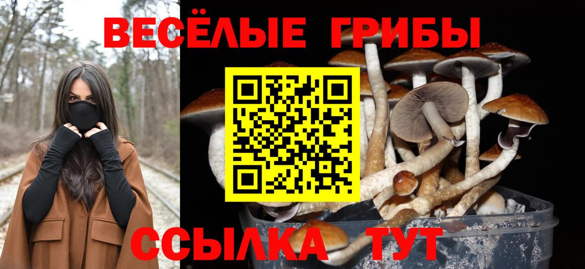 Псилоцибиновые грибы GOLDEN TEACHER  даркнет сайт  Грязи  Галлюциногенные грибы Psilocybine cubensis  Вход с VPN 
